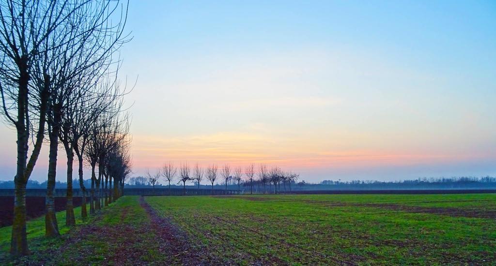 Agriturismo Paradiso Sarego ภายนอก รูปภาพ