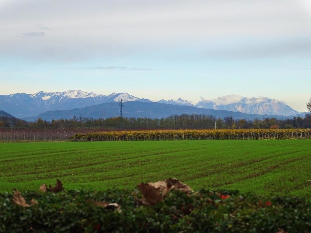 Agriturismo Paradiso Sarego ภายนอก รูปภาพ